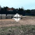Одинцовский городской округ, Иславское с.