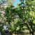 Малая Бронная улица, 36